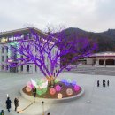 천보(주) 이미지