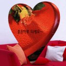 황기순농장 이미지