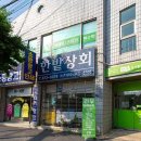 연두실사출력
