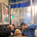 돈돼지먹어봐 | 이천 야장 삼겹살맛집 애견동반 돈돼지먹어봐