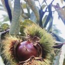 마곡사서울식당 이미지