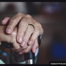 의료법인 효성재단 이미지