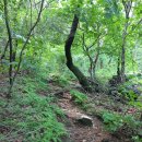 식장산 숲길 이미지