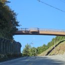 운림산방주차장 | [진도 여행/진도 가볼만한 곳] 운림산방 가을 단풍 &amp; 쌍계사