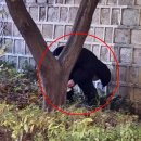 날로 - 구리시 갈매순환로166번길 45 | 날로
