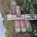◇ 여맥 보성 초암산 윤제림 산행 이미지