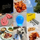 우디안경원 이미지