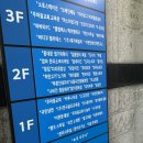 코드펫 | 용인 수지 신봉동 맛집 미소텐동 방문 후기