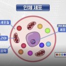 하늘과열매(주) 이미지