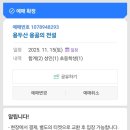 용골 | 40대 엄마의 자아 발견 &amp; 초2의 담력 테스트 (feat. 용두산 공원, 용골의 전설 체험 후기)