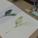 색연필로 그리는 꽃, 보태니컬 아트 | [공지] [현대백화점 압구정본점 강의 안내] 색연필로 그리는 꽃과 열매, 보타니컬 아트 9월