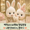 wedding 5-2)백작바이피렌체 청담본점 내부인테리어, 분위기 후기