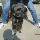 동해역길 이미지