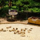 초안산 유아숲체험장 이미지