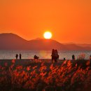 석양의추억 이미지