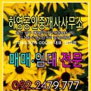 하영공인중개사사무소 이미지