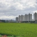 송산2리 마을회관 이미지