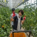 도농농장 이미지