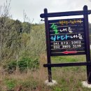 바다내음 민박 이미지