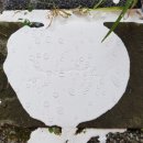 관악-현장-관악-512 이미지