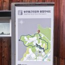 현지천 Daum카페