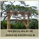 카카랜드 이미지