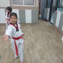 송도 경희대 태권도 이미지