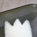 양산유캔애견미용학원