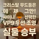 샤이니 하우스 | 앤트레디션 플라워팟 VP9 샤이니 키 조명, 크리스탈...선택한 침실 테라스 무선 포터블 무드등 리얼 후기