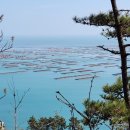 최강장군 가리포해전 대첩비 이미지