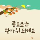 밝은연세약국 이미지