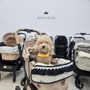 로얄 | 강아지 유모차 매장 펫랜드 로얄테일즈 글로리아 후기