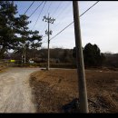 베델농장 이미지