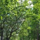 용현1교 이미지