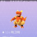 고플레이 이미지