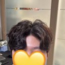 클레버헤어