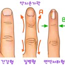 면역력은 폐활량과 비례한다. 가족력 치료법 이미지