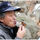 이리온 Daum카페