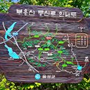 부용산 이미지
