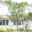 신나로힐링펜션 이미지