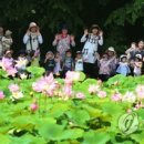 홍연약국 이미지