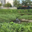 전화신점 잘보는곳 신점 전화상담 전화점사 전화점보기 이미지