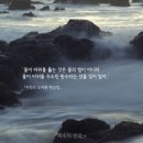더홈인테리어 이미지
