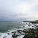 바다힐링 | 영덕 오션뷰 카페 추천 바다 보며 힐링하는 후기