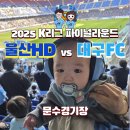 희망축구전용구장 | HD vs 대구FC 150일 영유아 아기와 함께한 문수구장 파이널라운드 원정 1층 직관 후기 (핸들링 오심?!!!!)