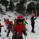 대마초등학교 이미지