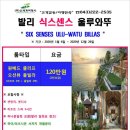 로얄식스 이미지