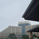 옛길 플라워 | 고성 델피노 결혼식 후기(델피노 웨딩홀) 신부대기실, 포토테이블, 홀, 신부입장