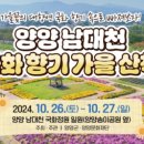 국화정원 이미지