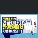 으뜸50안경 김해구산점 이미지